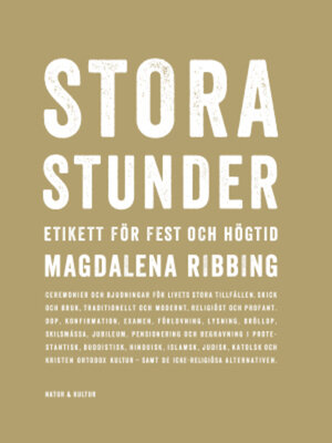cover image of Stora stunder